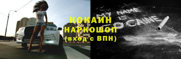 соль ск Абаза