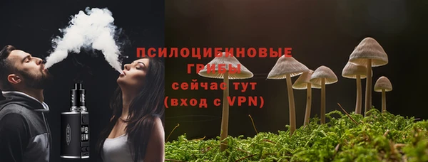 соль ск Абаза