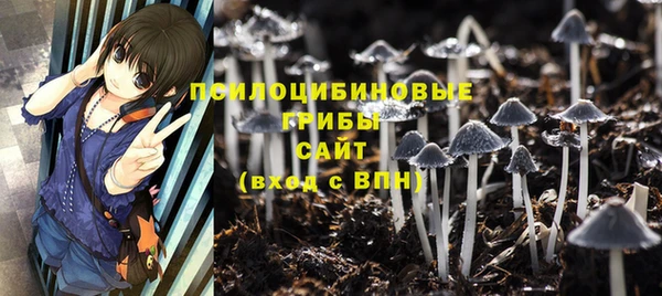 соль ск Абаза