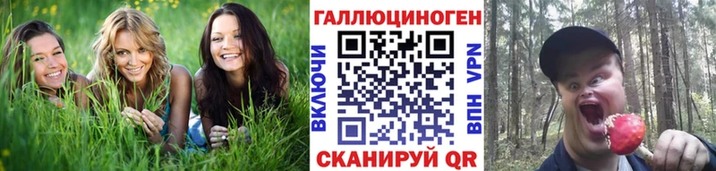 купить  сайты  Кандалакша  ссылка на мегу ССЫЛКА  Галлюциногенные грибы Psilocybe 
